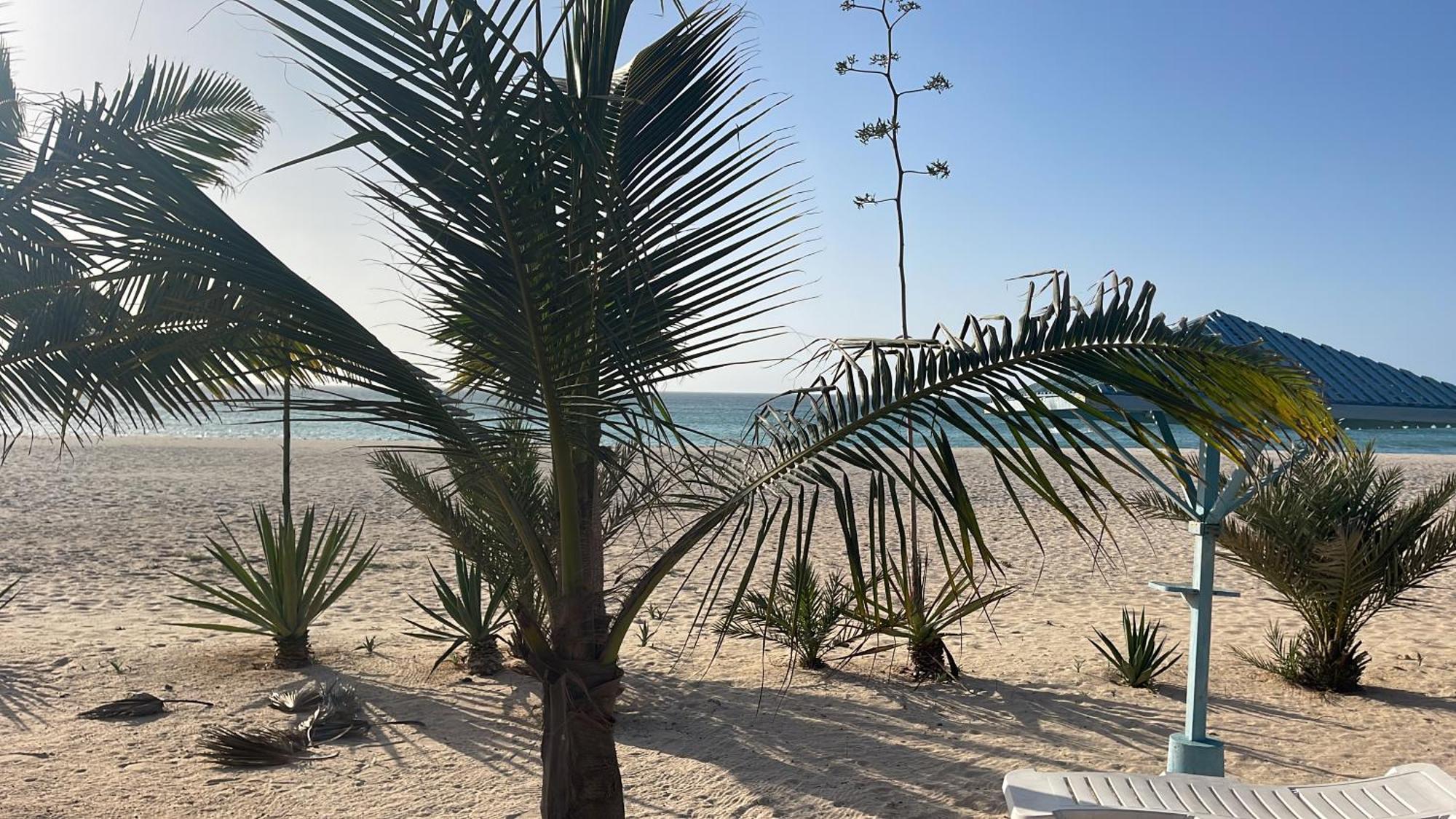 Luxury Beach Villa, Praia De Chaves, Boa Vista Sal Rei Exterior foto